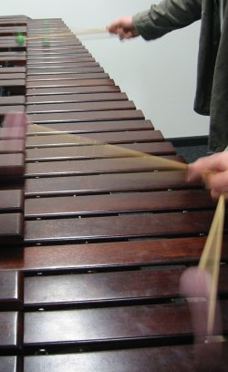 Marimba in Aktion